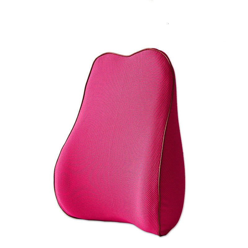 Lumbar Support & Back Cushion